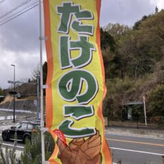 たけのこまつり